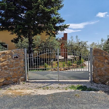 Il Panorama Apartment Montescudaio Exterior photo
