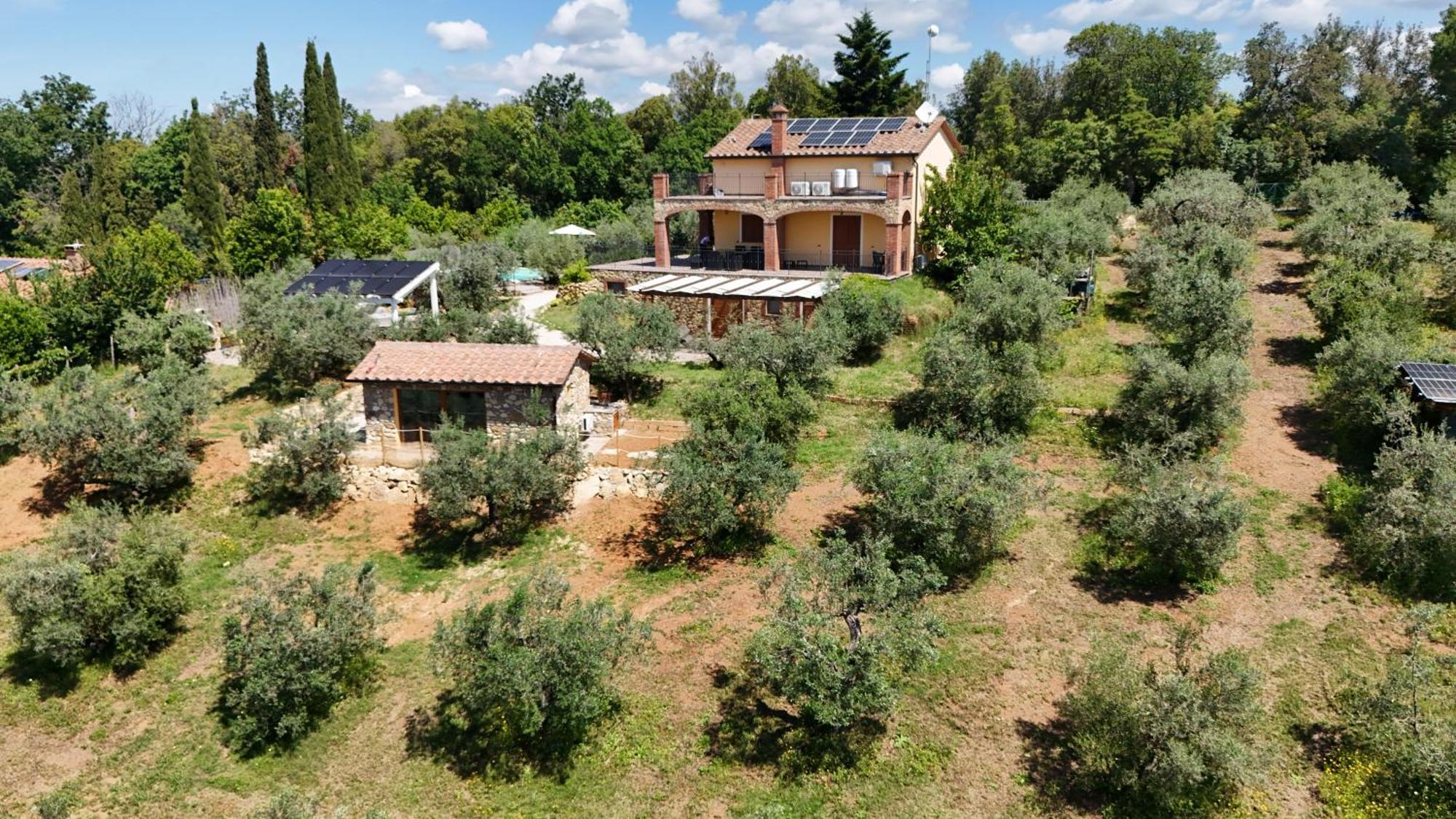 Il Panorama Apartment Montescudaio Exterior photo